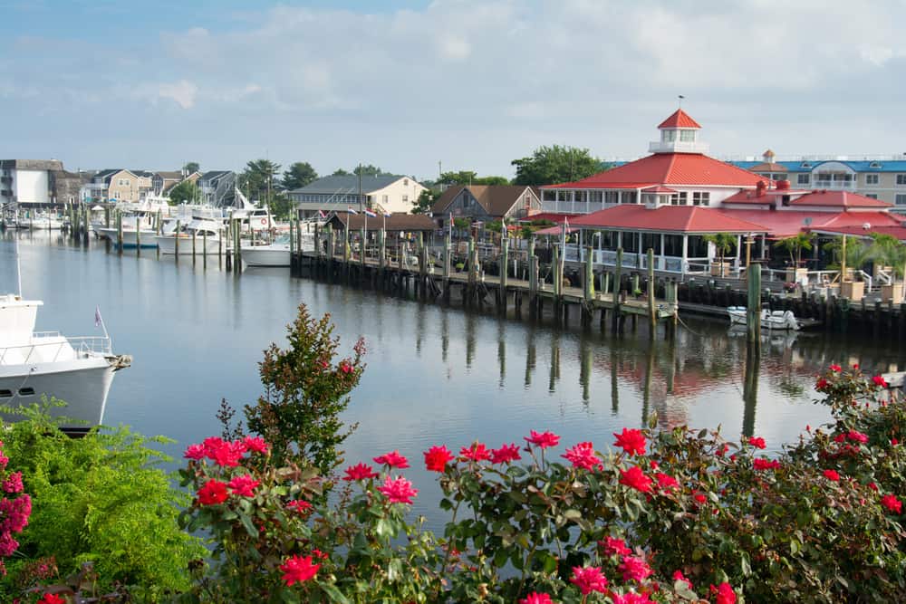 Lightship Cove Community Info & Homes for Sale Active Adults